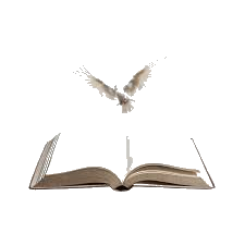 Open Bible with dove